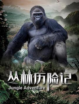 牛弹琴：全世界的鼻子都要气歪了